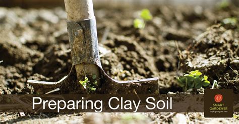 How To Make Clay Soil Good For Gardening